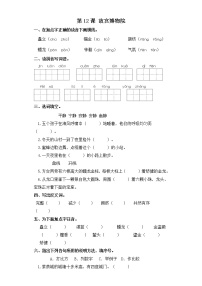 六年级上册12* 故宫博物院课时练习