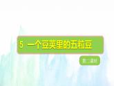 5. 一个豆荚里的五粒豌豆  第二课时  课件 +教案+练习