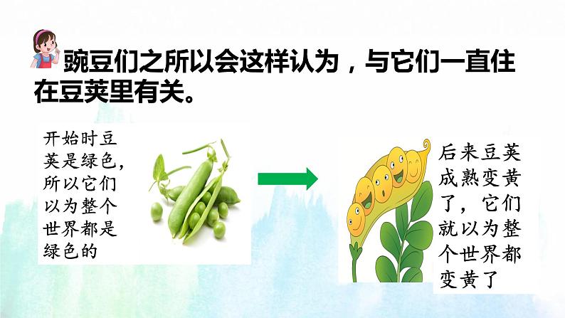 5. 一个豆荚里的五粒豌豆  第二课时  课件 +教案+练习05