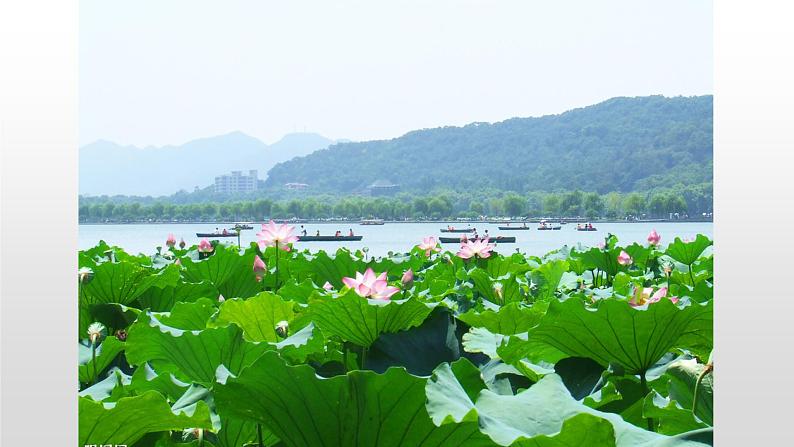 部编版小学三年级语文上册饮湖上初晴后雨课件PPT第7页