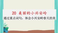 小学语文人教部编版三年级上册20 美丽的小兴安岭说课ppt课件