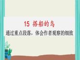 15搭船的鸟-2021部编版语文三年级上册第5单元课件PPT