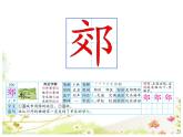 部编版语文三年级 25 灰雀 课件02
