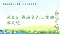 小学语文人教部编版三年级上册5 铺满金色巴掌的水泥道课文内容ppt课件