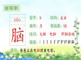 部编三年级上册语文 （生字课件）20、美丽的小兴安岭  15张幻灯片