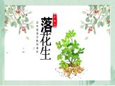 部编版五年级上册落花生课件PPT
