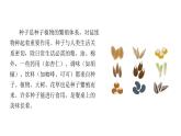 部编版小学三年级语文 9 那一定会很好（课件+音频）