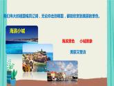 19海滨小城-2021部编版语文三年级上册第6单元课件PPT