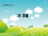 部编版小学语文三年级 25 灰雀 （课件+音频）