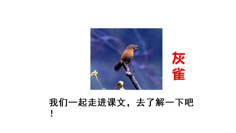 25 灰雀-提升版课件 2021-2022三年级语文上册 部编版第3页