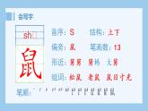 統(tǒng)編版小學(xué)語文五年級上冊（生字課件）17《松鼠》