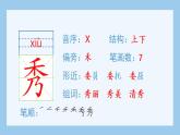 統(tǒng)編版小學(xué)語文五年級上冊（生字課件）17《松鼠》
