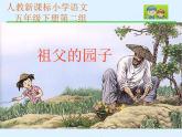 （人教新课标）五年级语文课件 祖父的园子