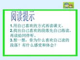（人教新课标）五年级语文课件 祖父的园子