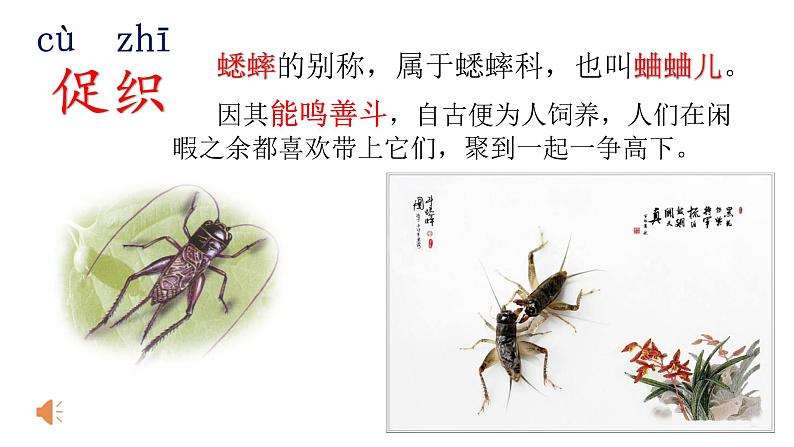 人教部编版三年级语上  4.《夜书所见》精品课件、精品教案、达标练习01