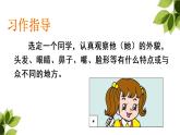 人教部编版三年级语上 精品课件、精品教案、达标练习习作一