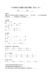 小升初语文专题复习提升训练：汉字（七）（Word版，含答案）