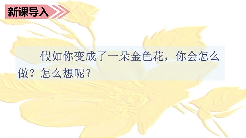 （教学课件）2.花的学校01