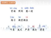 部编版三年级语文 3.不懂就要问课件（20张PPT)
