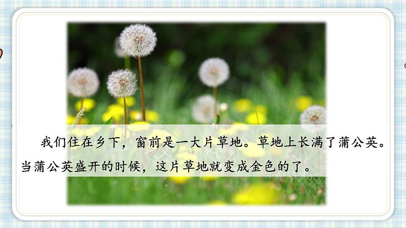 部编版三年级语文 16 金色的草地课件（22+15张PPT)03