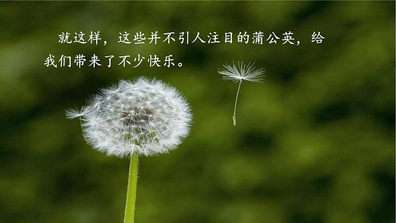 部编版三年级语文 16 金色的草地课件（22+15张PPT)07