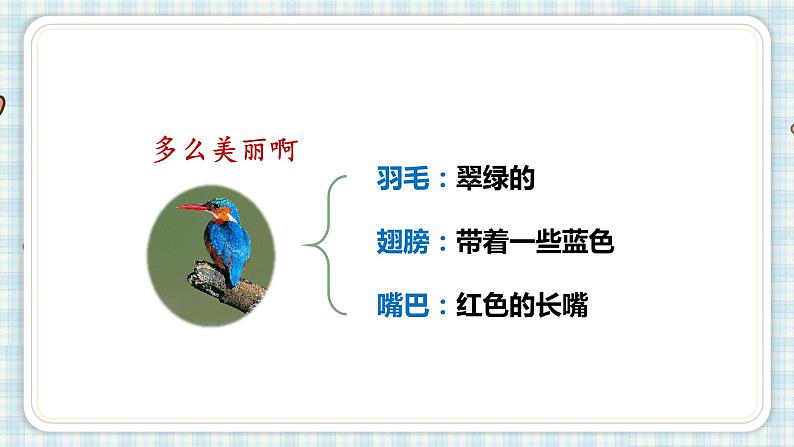 部编版三年级语文 15 搭船的鸟课件（25+15张PPT)07