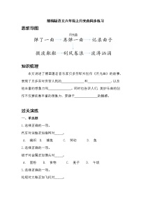 小学语文人教部编版六年级上册23 月光曲巩固练习