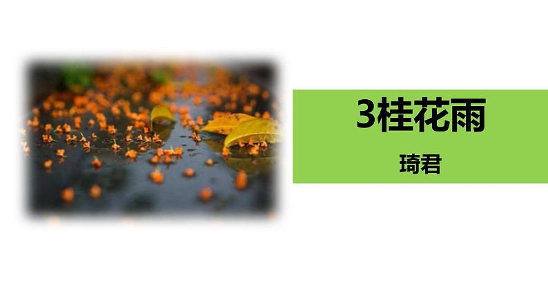 部编版五年级语文上册《桂花雨》PPT课件 (11)01