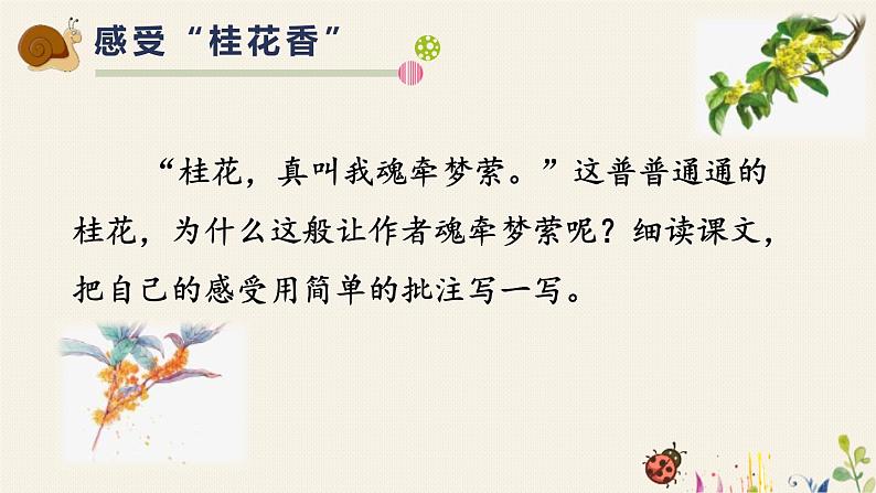 部编版五年级语文上册《桂花雨》PPT优秀课件 (12)03
