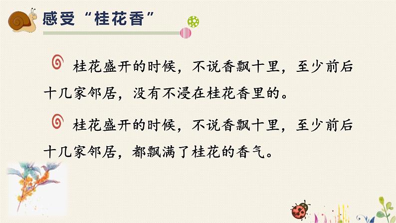 部编版五年级语文上册《桂花雨》PPT优秀课件 (12)05