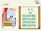 部编版五年级语文上册《古诗三首示儿》PPT课件 (4)