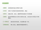 部编版五年级语文上册《“精彩极了”和“糟糕透了”》PPT课件 (7)