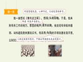 部编版五年级语文上册《慈母情深》PPT课件 (3)