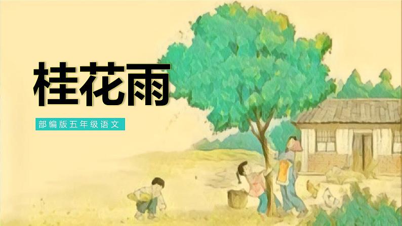 部编版五年级语文上册《桂花雨》PPT课件 (2)01