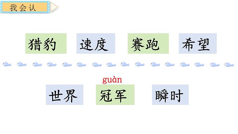 部编版五年级语文上册《什么比猎豹的速度更快》PPT课文课件 (3)第4页