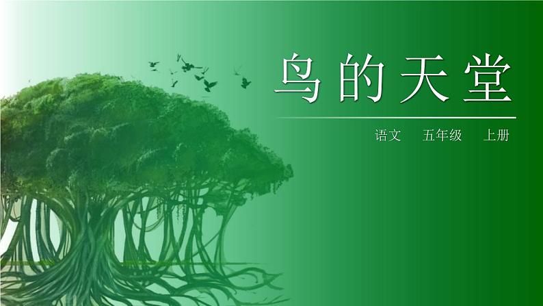 部编版五年级语文上册《鸟的天堂》PPT课件 (7)第1页