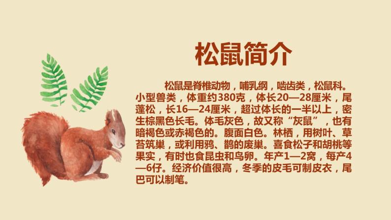 部编版五年级语文上册《松鼠》PPT教学课件 (10)04