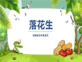 部编版五年级语文上册《落花生》PPT课件 (3)