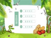 部编版五年级语文上册《落花生》PPT课件 (3)