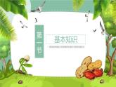 部编版五年级语文上册《落花生》PPT课件 (3)