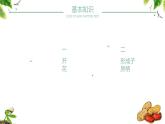 部编版五年级语文上册《落花生》PPT课件 (3)