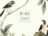 部编版五年级语文上册《鸟的天堂》PPT课件 (9)