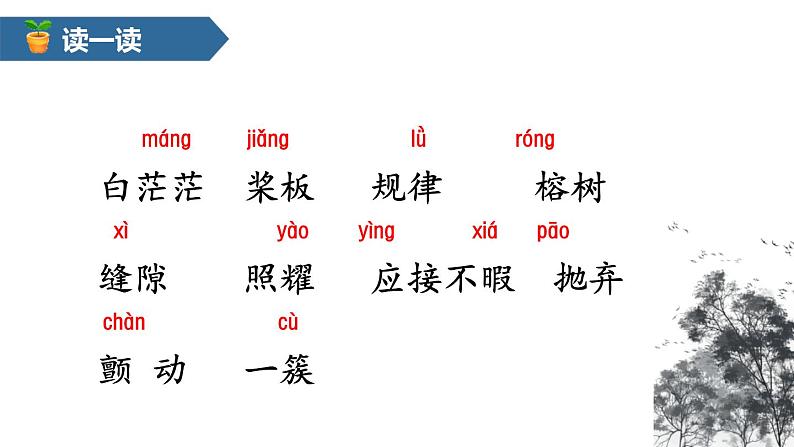 部编版五年级语文上册《鸟的天堂》PPT课件 (4)03