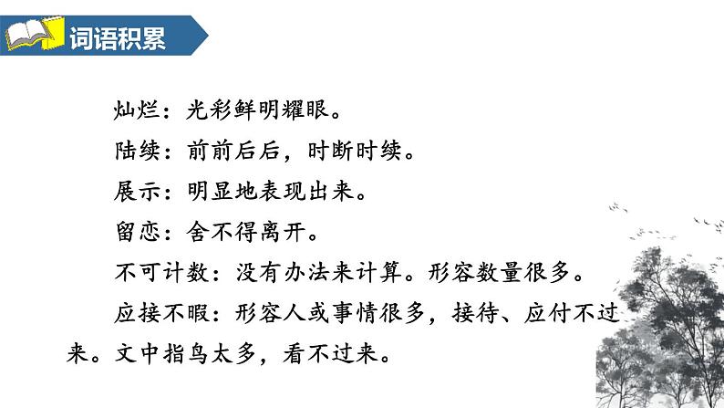 部编版五年级语文上册《鸟的天堂》PPT课件 (4)05