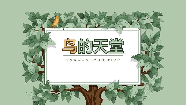 部编版五年级语文上册《鸟的天堂》PPT课件 (3)01