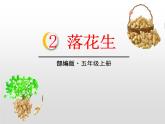 部编版五年级语文上册《落花生》PPT优秀课件 (11)