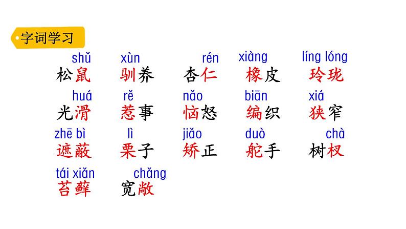 部编版五年级语文上册《松鼠》PPT教学课件 (14)第5页