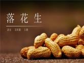部编版五年级语文上册《落花生》PPT优秀课件 (2)