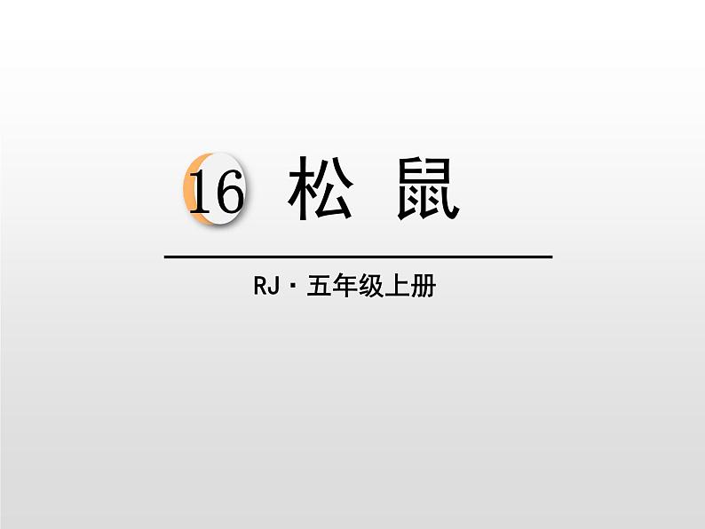 部编版五年级语文上册《松鼠》PPT教学课件 (11)01