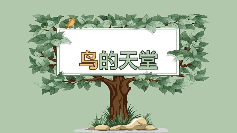 部编版五年级语文上册《鸟的天堂》PPT课件 (11)01